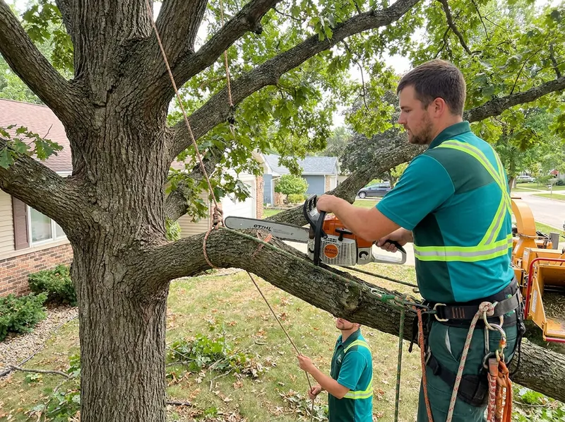 Tree Removal in Mount Pleasant in Mount Pleasant, WI